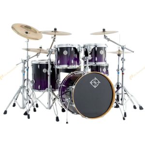 【Dixon】Predator系列 懸吊 亮光烤漆 鍛木 爵士鼓五件組