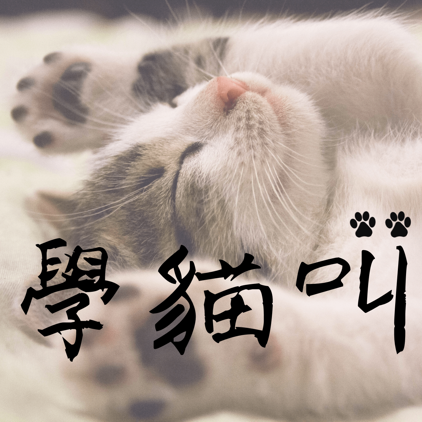 【廖邦豪】【電子樂譜】學貓叫